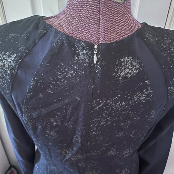 Rebecca Taylor Foil Silk Fit and Flare Dress 10 - Picture 9 of 9